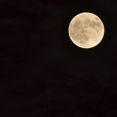 深夜営業ありのイメージ